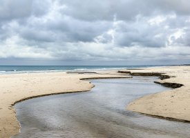 Strand