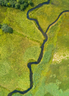 Lindenborg 