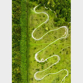 Kongsh�j Skov �lborg