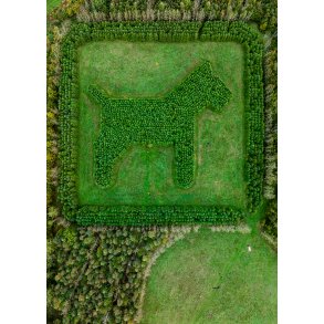 Himmelhunden St�vring Hundeskov