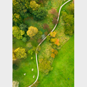 Mindeparken Marselis