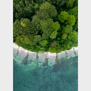 Moesgaard Strand