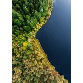 Moss�