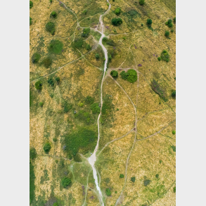 Treh�je Mols Bjerge