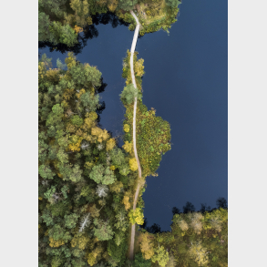 Vejbo Mose Silkeborg